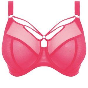 Elomi Sachi UW Plunge - Pink - 38HH US / 38L UK